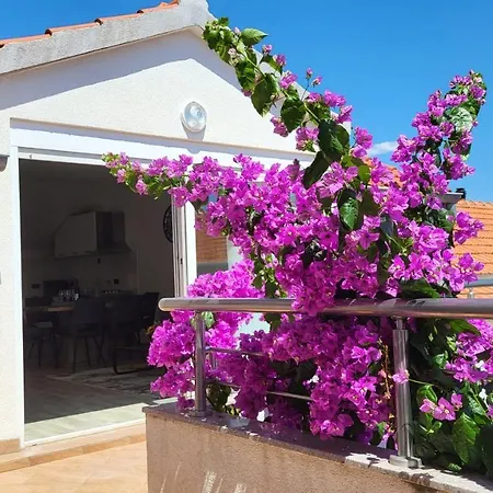 Stoja Guest house 3*